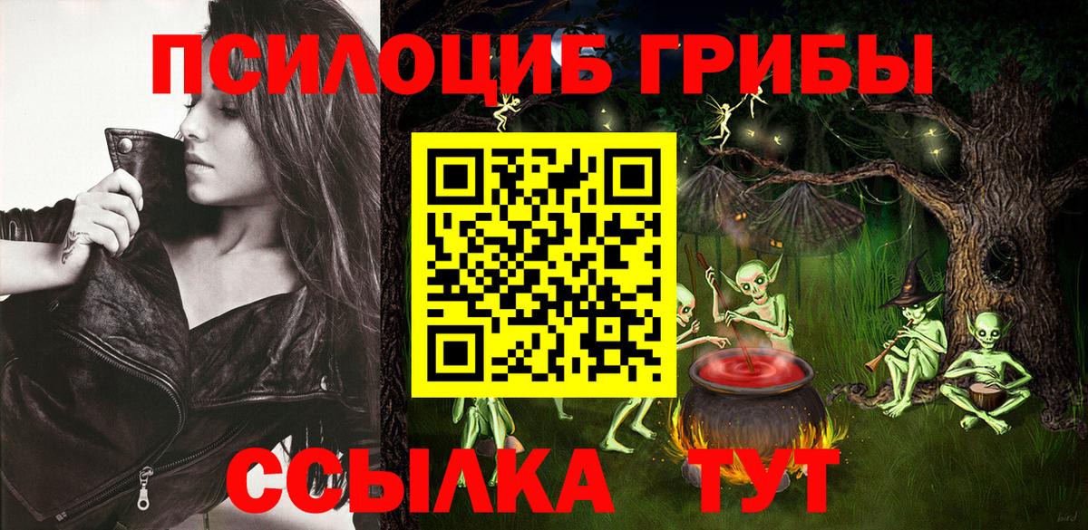 Ржев  Псилоцибиновые грибы MAGIC MUSHROOMS  Вход с VPN 
