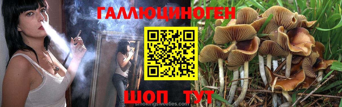 Псилоцибиновые грибы Psilocybe Ржев